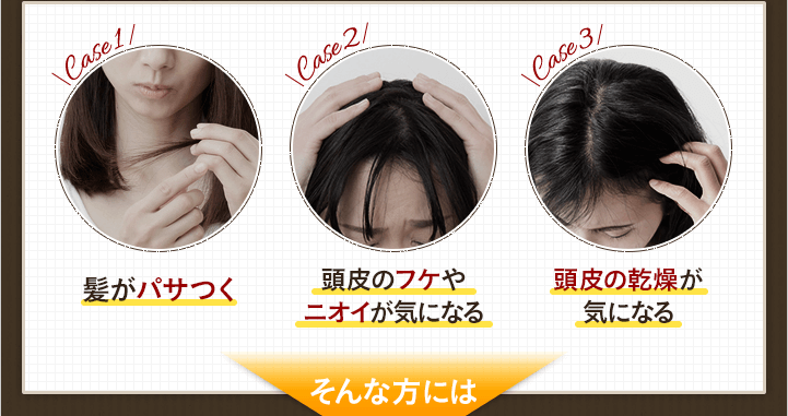 case1：髪がパサつくcase2：頭皮のフケやニオイが気になるcase3：頭皮の乾燥が気になる