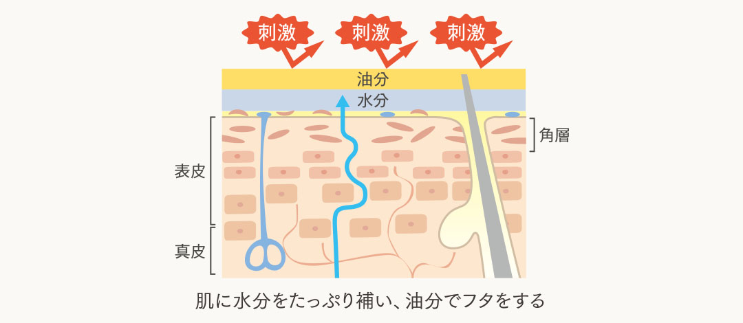 肌に水分をたっぷり補い、油分でフタをする