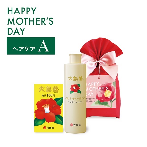 【母の日ギフト】ヘアケアAセット