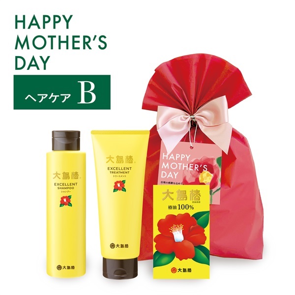 【母の日ギフト】ヘアケアBセット