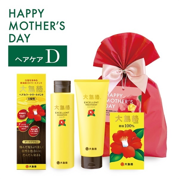 【母の日ギフト】ヘアケアDセット