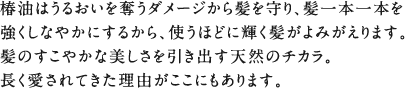 椿油はうるおいを奪うダメージから髪を守り、髪一本一本を強くしなやかにするから、使うほどに輝く髪がよみがえります。髪のすこやかな美しさを引き出す天然のチカラ。長く愛されてきた理由がここにもあります。＜椿油のチカラ＞ダメージから守る。うるおい＆つや。髪の強度アップ。