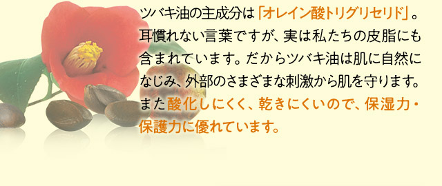 ツバキ油の主成分は「オレイン酸トリグリセリド」。耳慣れない言葉ですが、実は私たちの皮脂にも含まれています。だからツバキ油は肌に自然になじみ、外部のさまざまな刺激から肌を守ります。また酸化しにくく、乾きにくいので、保湿力・保護力に優れています。