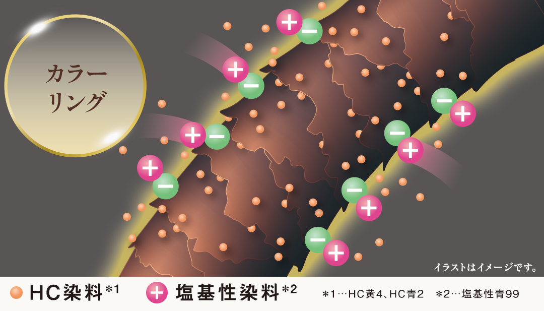 【カラーリング】イメージ画像