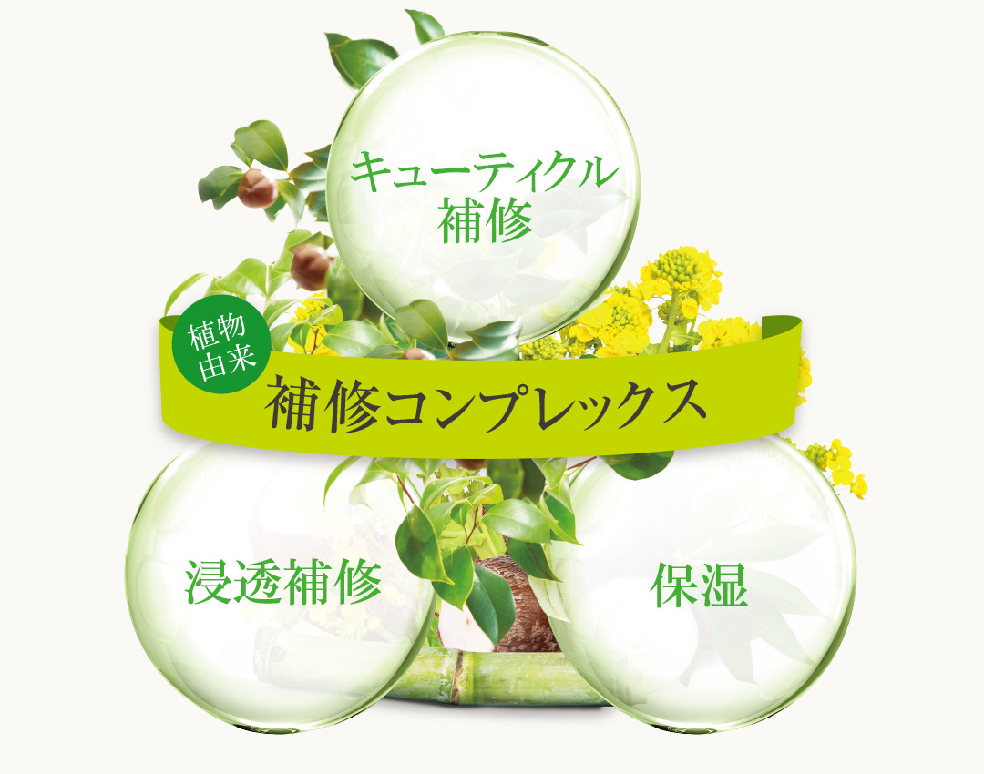 補修コンプレックス