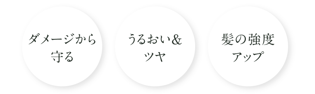 ダメージから守る、うるおい＆ツヤ、髪の強度アップ
